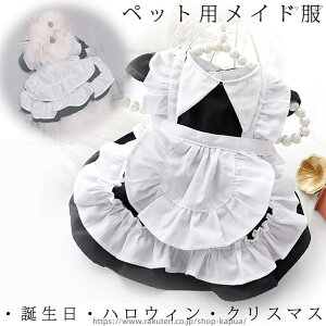 yzybgp Ch  RXv s[X nEB NX}X XJ[g hX  ybg  t