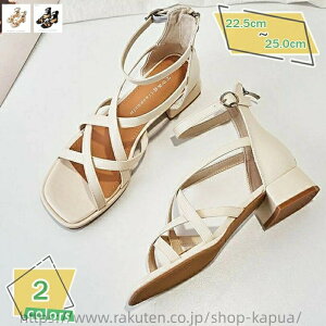 fB[X T_ u[c [q[ u[cT_ obNWbp[ OfBG[^[T_  V[gu[c ₷ `L[q[ 3cm 芴 q[T_ I[