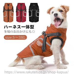 p n[lX̌^ WPbg g xXg ~ hbOEFA ybg L  ^ ^ h xXg o U EȒP ʐ^ LOBe   _炩  