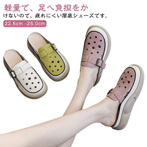 yzEHLOV[Y ƂȂ Xj[J[ fB[X Xb| T{T_  RtH[gV[Y y C T_