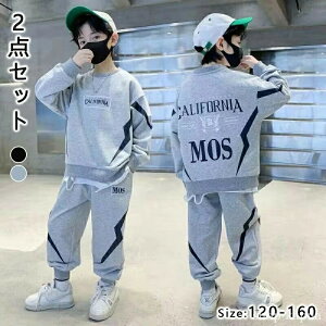 yz XEFbg ~ tH 160 150 140 130 120 WjA j̎q LbY _Xߑ ㉺2_Zbg ZbgAbv W[W q