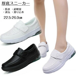 yzJW ~ ʋC  y JWAV[Y C Xj[J[ jOV[Y h fB[X Y Xj[J[