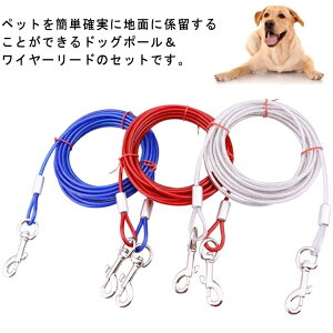 yzLv pi hbOtbN hbOAJ[ OEhAJ[ WXebL ߍ C[[hZbg hbO|[