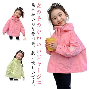 yzt[ht AE^[ w WjA q y  h h h ̎q LbY EChu[J[ Eep[J[