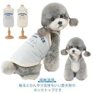 yzU ĕ t  R Ђ  ĕ  ̕ L~\[ m[X[u ^Ngbv N[ ڐG⊴ ĕ 