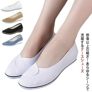 yzY ΍ ʋC wlC ƌC   킢  fB[X  Ōt  pvX  Ȃ i[XV[Y