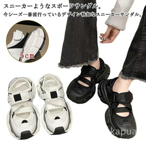 yzT_  ₷ RtH[gT_ L bV  Xj[J[T_ fB[X  X|[cT_