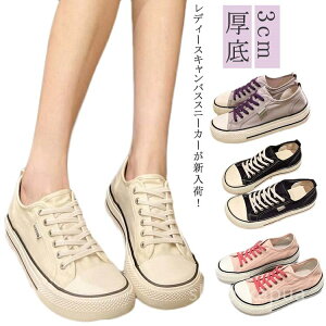 yz[JbgXj[J[  C  LoXXj[J[ y [XAbv V[Y ~ 3cm [Jbg fB[X