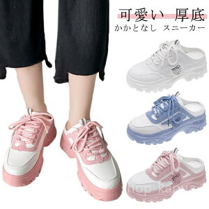 yzXj T_Xj[J[ _XV[Y  C Xb| Ȃ T_ ₷ fB[X IV Ȃ