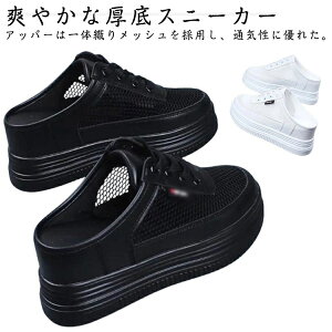 yz[t [Jbg bV Xj[J[ T{T_ T_  ʋC ƂȂXj[J[ fB[X bVXj[J[