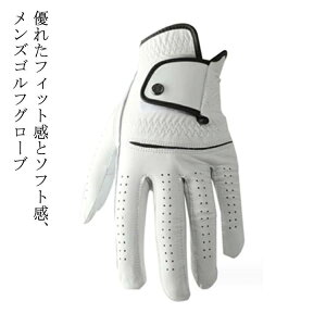 yzJW zCg  St Stpi Xgb` Ȃ ʋC r p  St Y StO[u