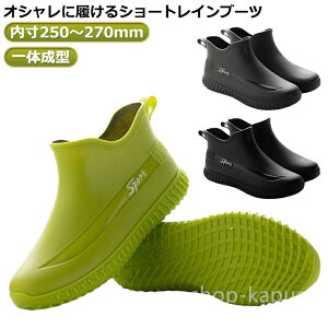 yz IV y JC Ȃ ̐^ Sh AEghA V[g  ~ C Y Cu[c C CV[Y