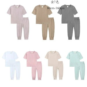 yzWjA ^ Y{  W[W jZbNX 2_Zbg n Vv ㉺Zbg xr[ ZbgAbv ؍q