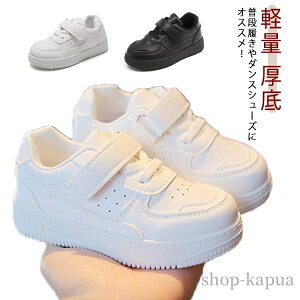 yz^C y qC WjA  _XXj[J[ qbvzbv LbY K ʉ  C ʊw n 