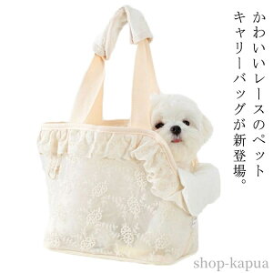 yz[XnhobO ybgL[ ^ p ybg L[obO UobO ybgL[obO  L[