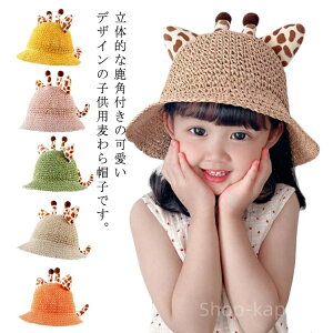 yzp Xq Xg[nbg LbY q Ԃ ̎q j̎q xr[ Xq UVPA t  悯 킢