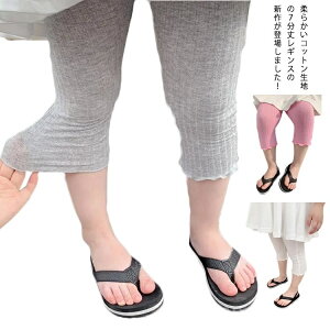 yzq LbY MX 7 xr[ Xpbc Ԃ ^Cc    ̎q  qǂ 킢 t Xgb`