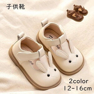 yzqC LbY q Ԃ C V[Y tH[} t  H tH[}V[Y 2color  C  킢