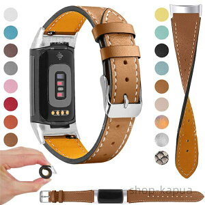 �y���������z�����\��charge6/5�{�v�x���g �y�� �ʋC�� �_�炩�� 6�o���h�{�v�o���hCharge5�o���h�{�v�t���r���v�o���h Charge