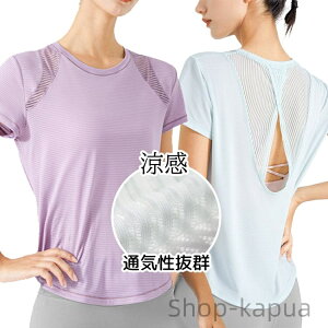 yz^ z y ʋCQ  郉  veB[N zbgK  킢  IV O[ p[v