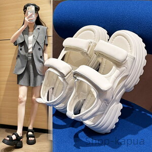 yzOo ʋ  ɂ K V[Y t ČC RtH[gT_₷ PUU[ `T_OJT_