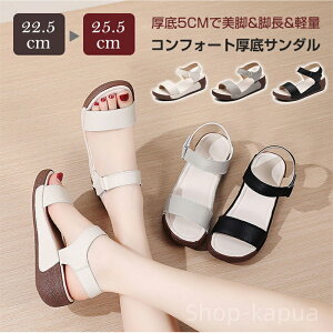 yz22.5-25.0cm JWA T_ r ʋC ₷  y UP 5cm T_ Xj[J[ T_ V[Y  v