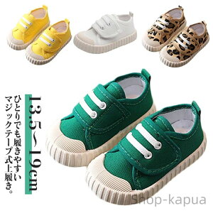 yzǂC qǂ WjA ʊw ʉ w  㗚 ct wC ۈ牀 Xb| wZ  j̎q L  v