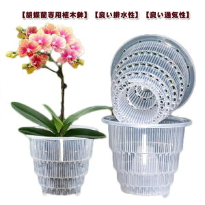 yzӒ m A  NA  ϗtA ̔  rt a15cm a12cm h~ ʋC ^