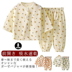 yztďH z  QԒ  q xr[ ㉺Zbg Y{  Rbg 2dK[[  ̎q j̎q