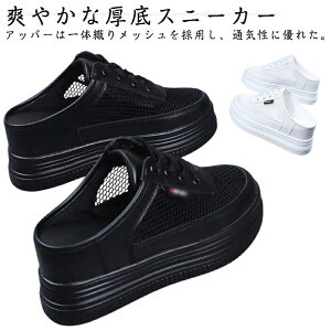 yzT_ T{ r  y ʋC Xb| ƂȂV[Y [t@[ [Jbg bV Xj[J[