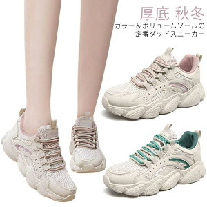 yzMtg ʋ l ~ lC 傫TCY X^CAbv C ؍ 50 40 30 20 ʊw H~ A