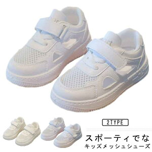 yz傫TCY v[g Mtg 킢 Xj[J[ ʊw ʉ ct tBbg ɂȂ t Ȃ ʋC 