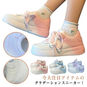 yz킢  C l [XAbv  ʋ ʊw Vv fB[X Xj[J[ [Jbg  V[Y