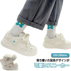 yz C ~ ₷ r  ^C qZ   Xj[J[ Xj[J[ _bhV[Y fB[X