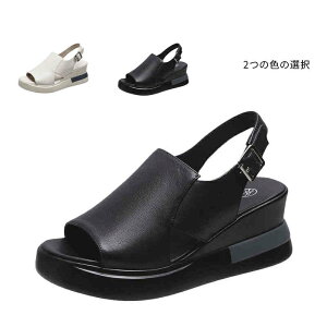 yz T_ fB[X t  i[XT_ wl p T_ ItBXT_ Ȃ ₷