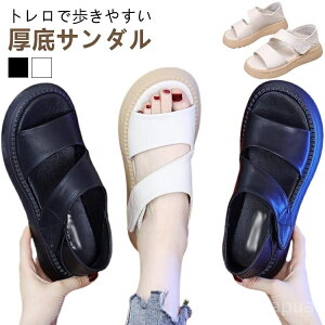 yzv ʋ T_ ėp EH[LOV[Y ʋC s r ~ 2way Od 5cmq[  L ʊw T_