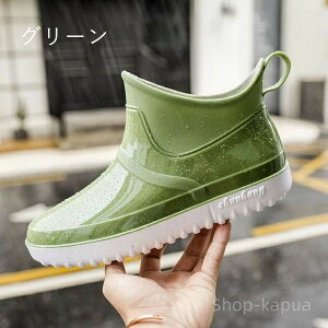 yzJC   y AEghA Ɨp 䕗 ʋ ʊw ~J΍ JWA K[fjO v[g 23-27cm