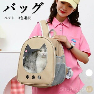 yzlR LobO ybgpi PUv U o LobO y ^ ybgobOLpi ʋC 傫Lp ό`Ȃ