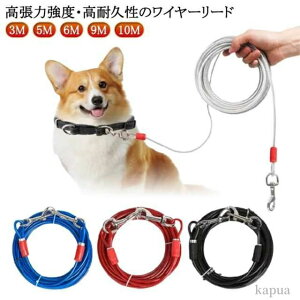 yz؂Ȃ[h C[ ؂Ȃ[h ^ 6M C[[h p[h ̎U ^ XeX Kтɂ