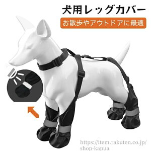 yzpbOJo[ hbOu[c hbOV[Y  C Eɂ pu[c pu[cMX ~ EȂ