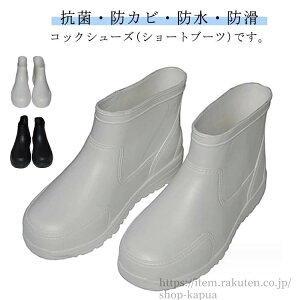 yzY RbNV[Y fB[X V[gu[c L ϖ C h R ZteBV[Y q ~[C ϊ fB[X