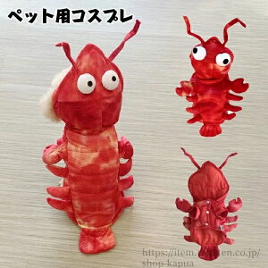 yznEB    RXv ϑ RX`[ H~ t[X   킢 uX^[ Gr UKj