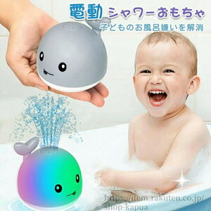 yzV[ d Ĉ ԂEH[^[Xv[ ėp Cgt ~   d