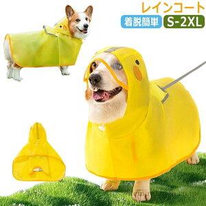 yz h CR[g R[M[ J  p ^ ^ pCR[g ̕ hbOEGA hbO J̓ h 