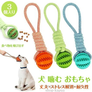 yz3pbN   [v      lC  {[ [v XgX v