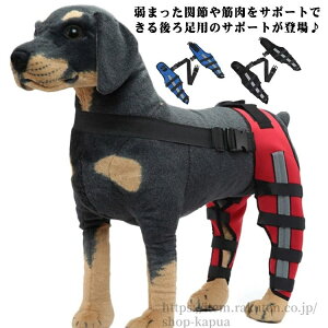 yzp ֐߃veN^[ G T|[^[  p ֐߃veN^[ 둫 p G T|[^[ 㑫֐ߕی yA Œ EZbg