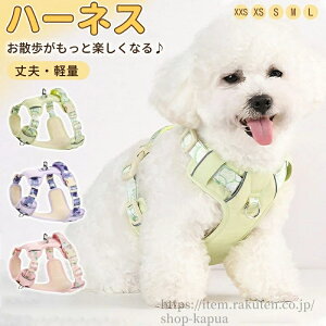 yz n[lX ^ ^ ^ [h Zbg ₷ EȂ n[lX  _炩 S Ȃ 