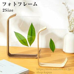 【送料無料】フォトフレーム シンプルタイプ 写真立て おしゃれ アクリル クリアフレーム スタンドタイプ クリア L判 2L判 透明 シンプル