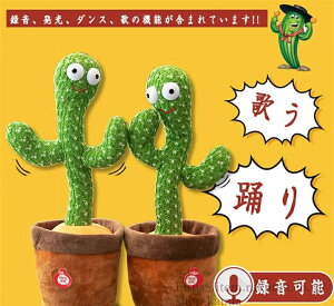 yzSNSŘb  x T{e ťJԂ LEDƖ USB p̉̕t y m ߋ  toy talking Ԃ