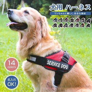 yz n[lX O  Pi  CjV ȒP h~ Ȃ ^ ^ ^ 킢 U o